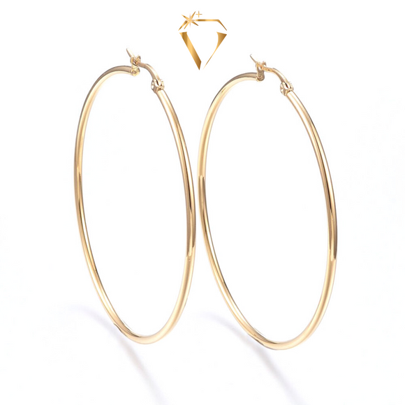 Big Hoop Earrings